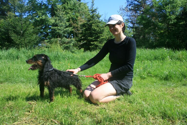 Shelter Dog 051