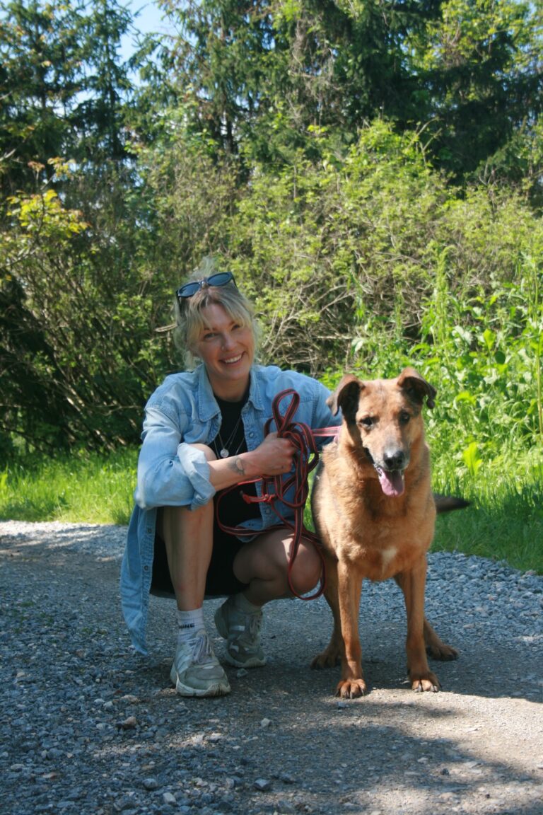 Shelter Dog 060